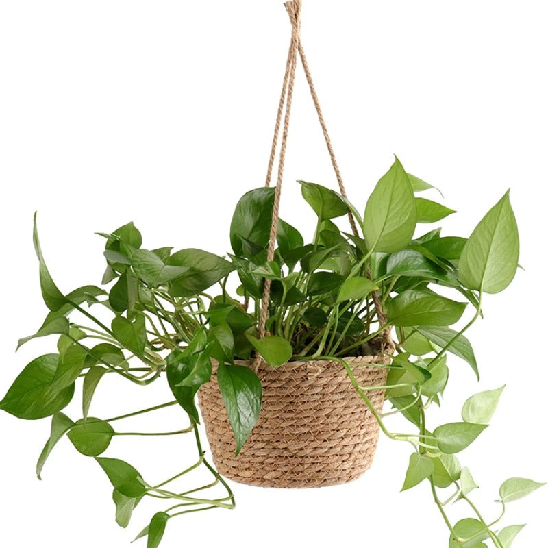 SwingScape | Minimalistisk og Elegant Vævet Planteholder
