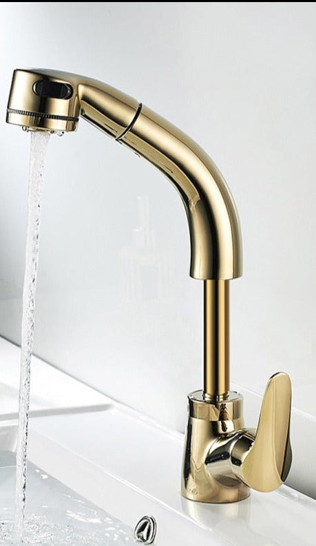 FlexiStream | Justerbar Badeværelsesarmatur med Udtræk og Elegant Finish