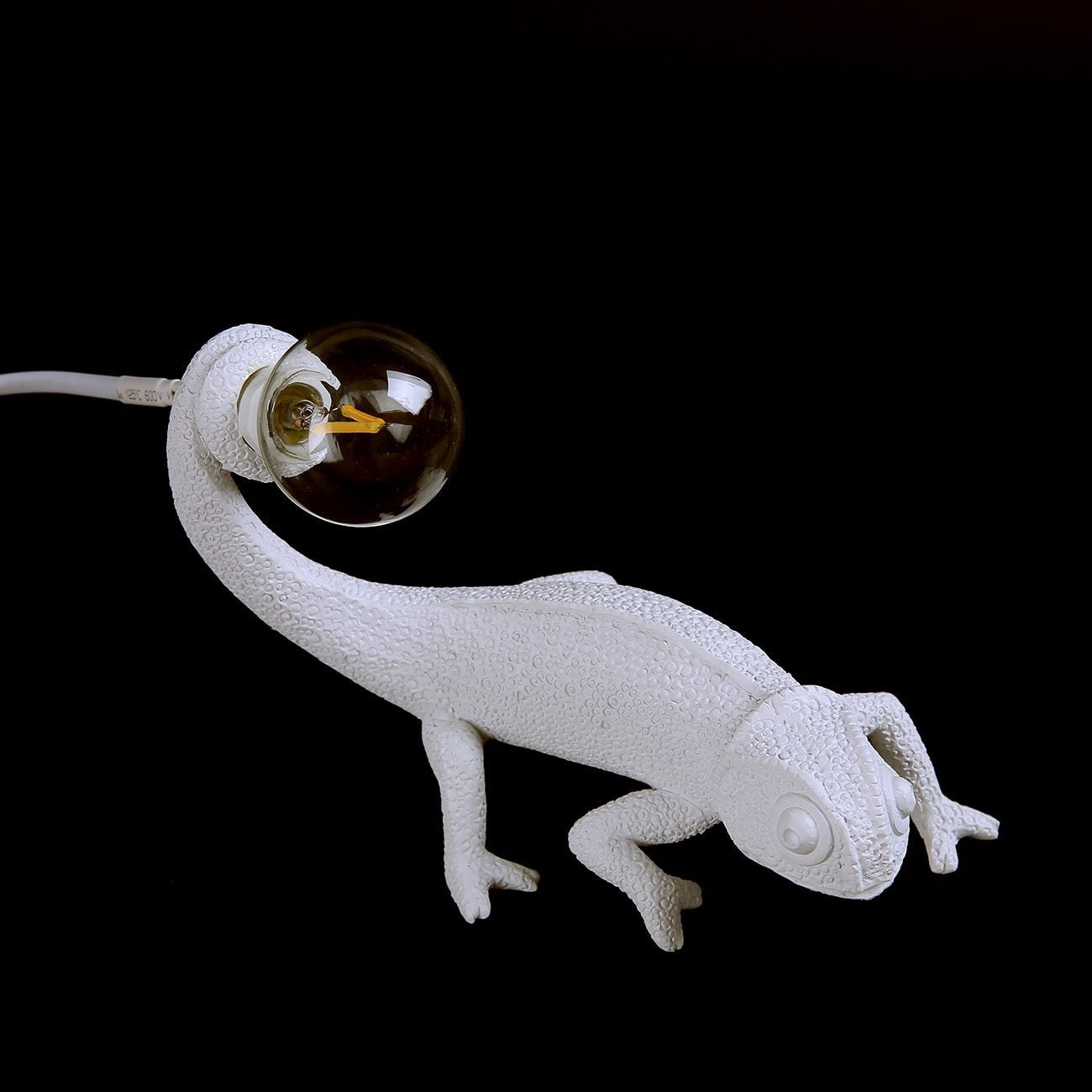 GlowGecko | Moderne Dyre Accent Lampe