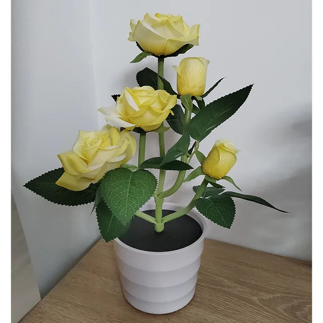 PetalHue | Strålende Blomsterdisplay