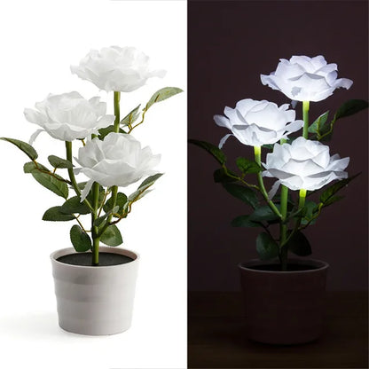 PetalHue | Strålende Blomsterdisplay