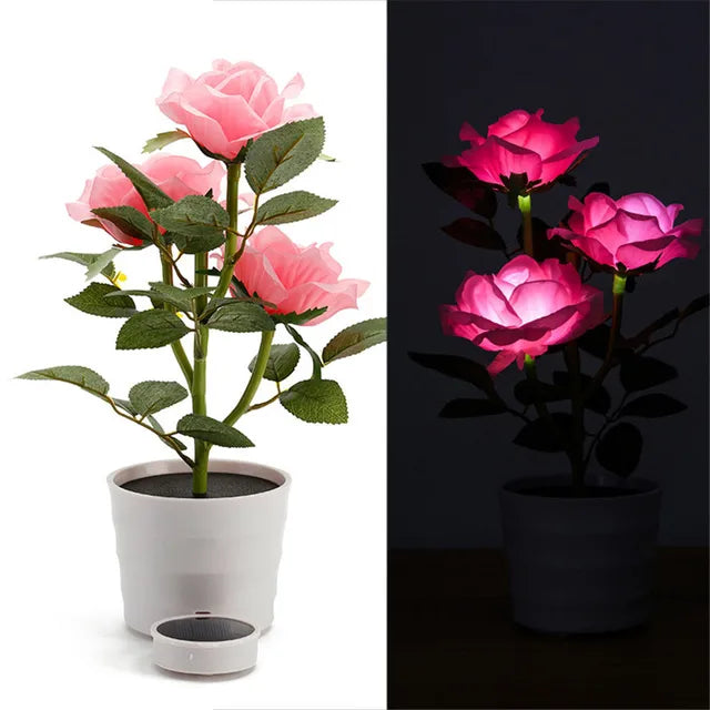 PetalHue | Strålende Blomsterdisplay