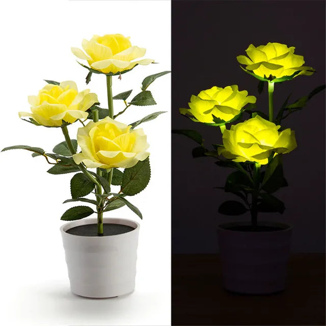 PetalHue | Strålende Blomsterdisplay