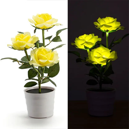 PetalHue | Strålende Blomsterdisplay