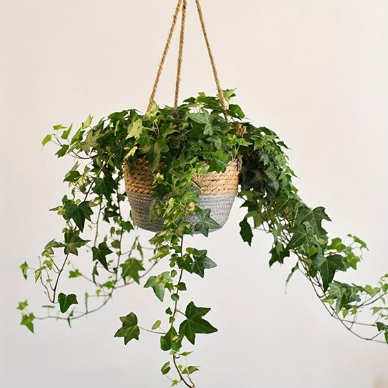 SwingScape | Minimalistisk og Elegant Vævet Planteholder