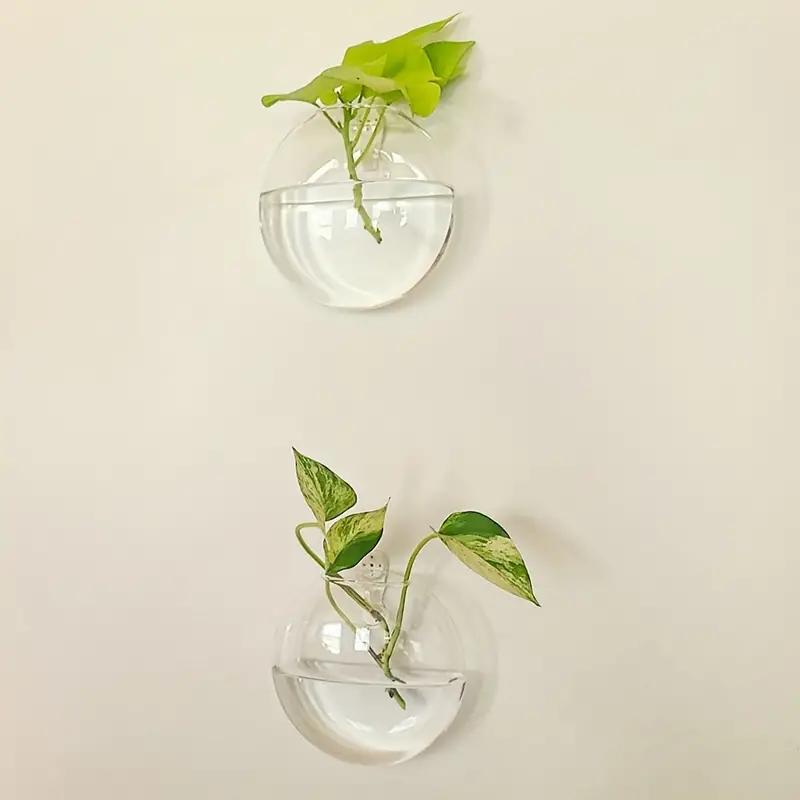 AquaPod | Oblate Form Glas Vægplanter