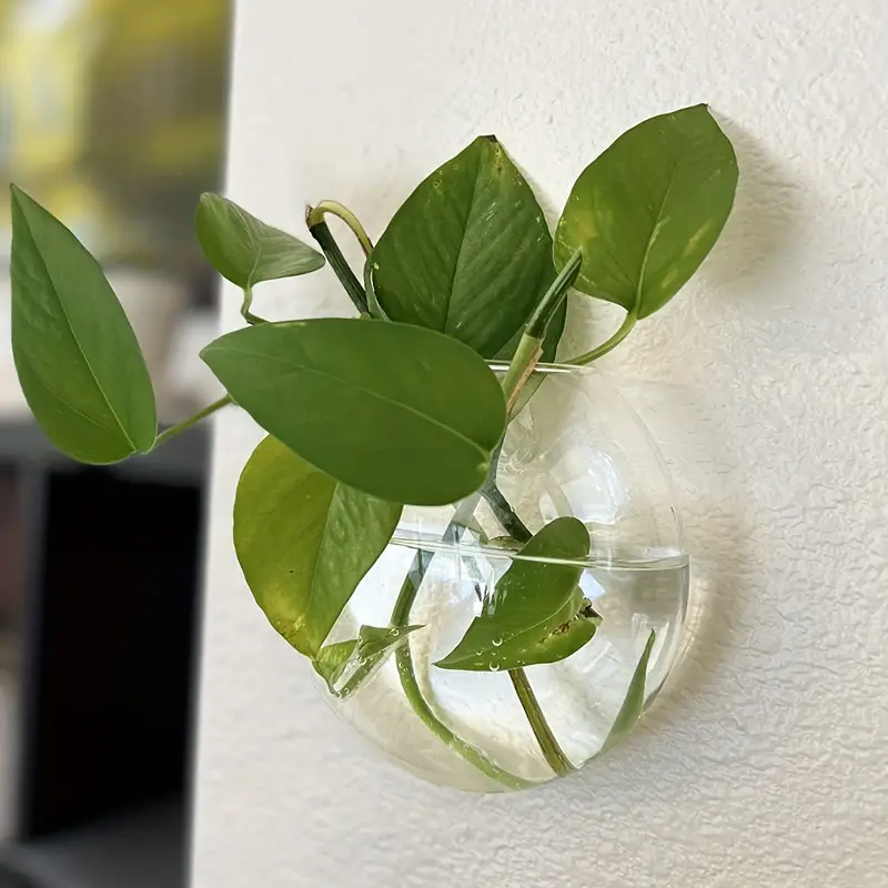 AquaPod | Oblate Form Glas Vægplanter